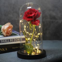 image-Mothers Day Wedding Favors Bridesmaid Gift Immortal Simulation Rose Glass Cover Luminous Led Ornament