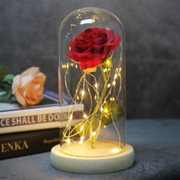 image-Mothers Day Wedding Favors Bridesmaid Gift Immortal Simulation Rose Glass Cover Luminous Led Ornament