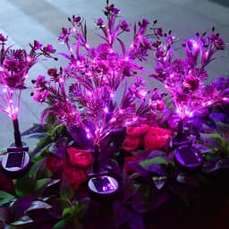 image-Solar Phalaenopsis Festive Lantern Outdoor