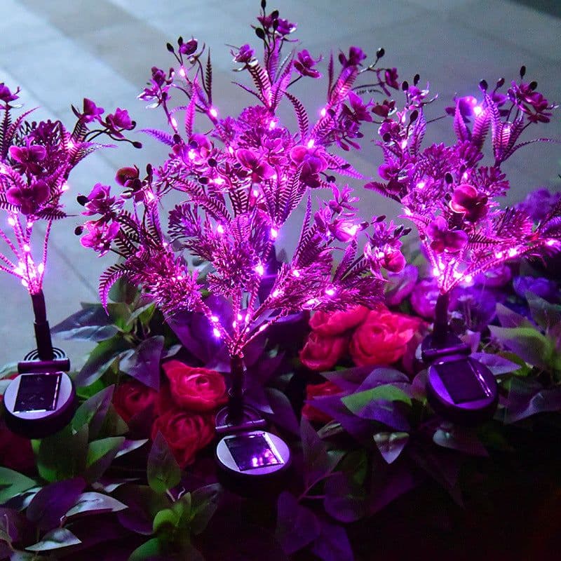 image-Solar Phalaenopsis Festive Lantern Outdoor