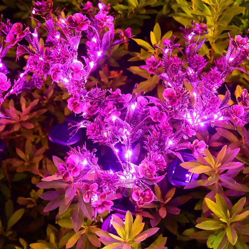image-Solar Phalaenopsis Festive Lantern Outdoor
