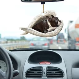 image-Car Pendant Sleeping Dog Angel Home Decor Acrylic Showcase Hanging Ornaments For Doors
