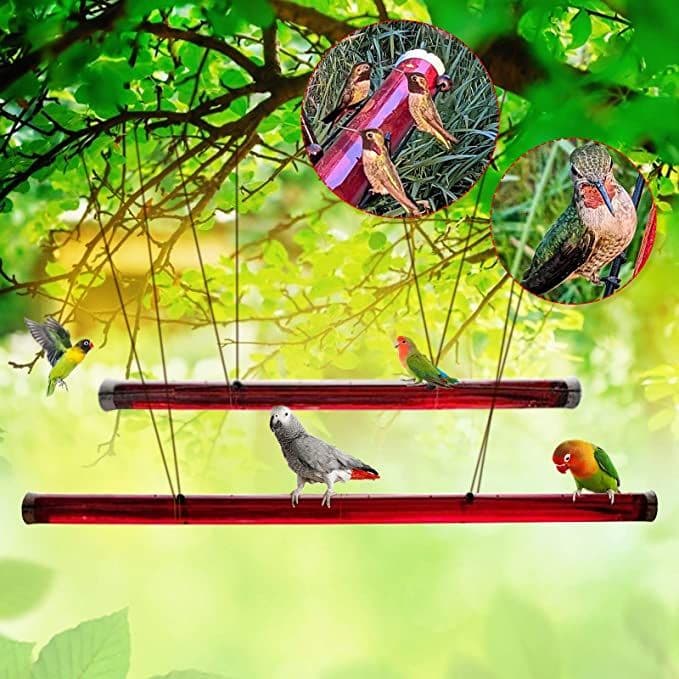 image-Hanging Long Tube Red Bird Feeder Hanging Hummingbird