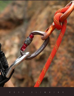 image-Outdoor Professional Rock Climbing Main Lock Carabiner Small D-shaped Main Lock Outdoor Quick-hanging Buckle Safety Buckle Rock Climbing Equipment