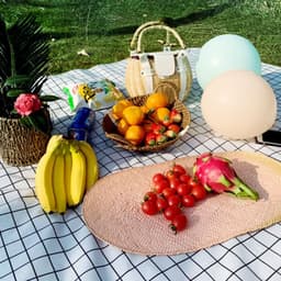image-Thickened Waterproof Lawn Net Red Portable Foldable Lattice Moisture-proof Mat