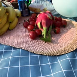 image-Thickened Waterproof Lawn Net Red Portable Foldable Lattice Moisture-proof Mat