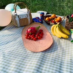 image-Thickened Waterproof Lawn Net Red Portable Foldable Lattice Moisture-proof Mat