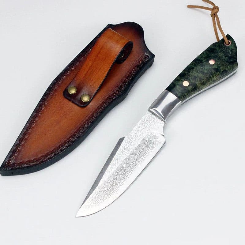 image-Damascus VG10 Steel Core High Hardness Forging Straight Knife