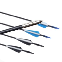 image-Novice Practicing Arrows In The Scenic Area Arrow Hall