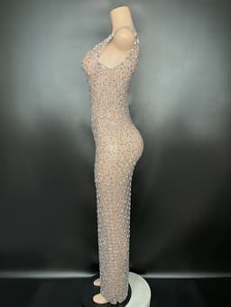 image-Luxury And Niche Princess Gathering Banquet Dress For Socialites