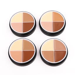 image-Hot Sale Nuo Foundation Cream Four-Color Concealer Toning Cosmetics