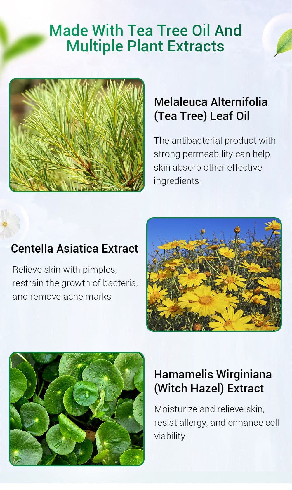 image-BREYLEE Tea Tree Acne Cream Moisturizing Acne Scars Scar Cream