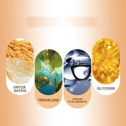 image-Rice Moisturizing And Brightening Skin Original Liquid Skin