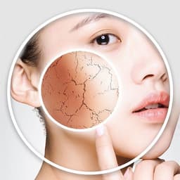 image-B5 Hyaluronic Acid Muscle Base Original Liquid Hydrating Moisturizing Skin Care Products