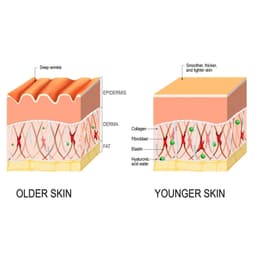 image-Intensive Anti-wrinkle Fade Fine Lines And Dark Circles Adjust Skin Tone Tighten And Moisturize Skin Care