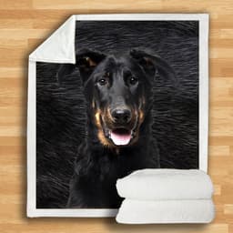 image-3d Double-sided Flannel Blanket Siesta Air Conditioning Blanket