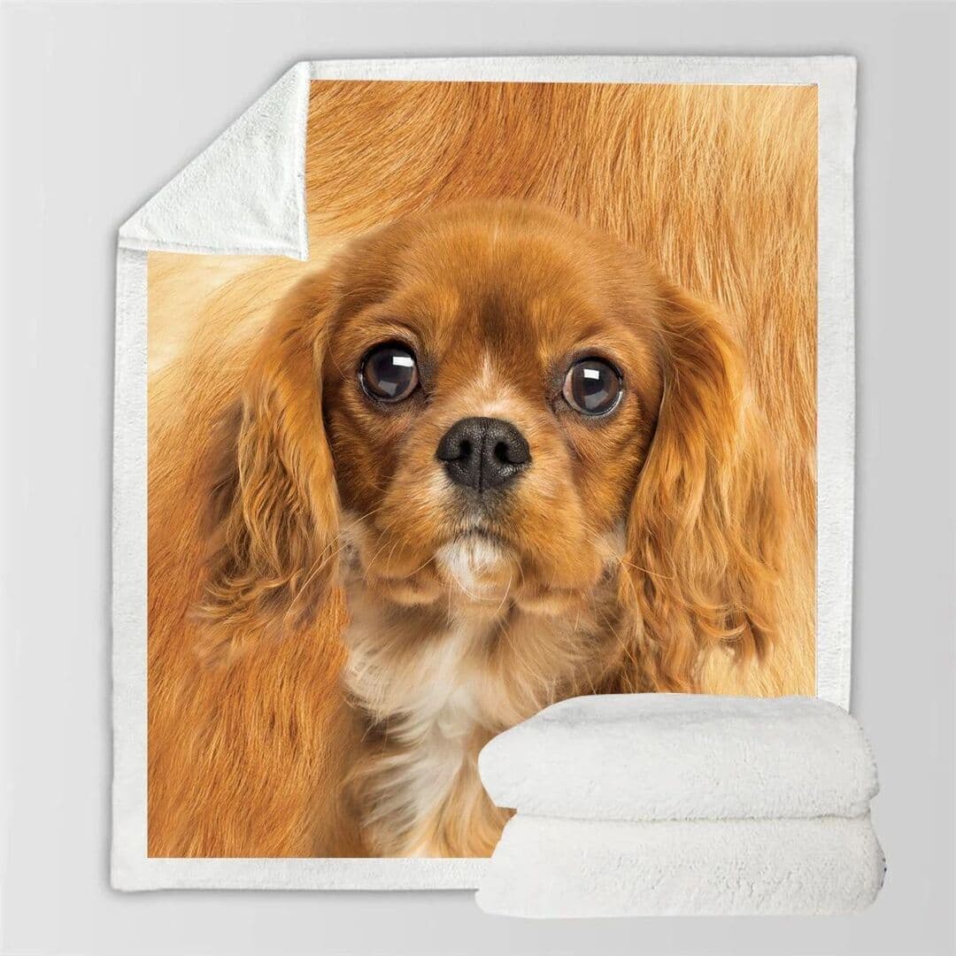 image-3d Double-sided Flannel Blanket Siesta Air Conditioning Blanket
