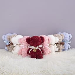 image-Bear Coral Velvet Towel Gift Handbag