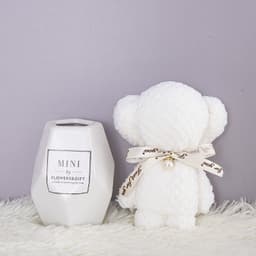 image-Bear Coral Velvet Towel Gift Handbag