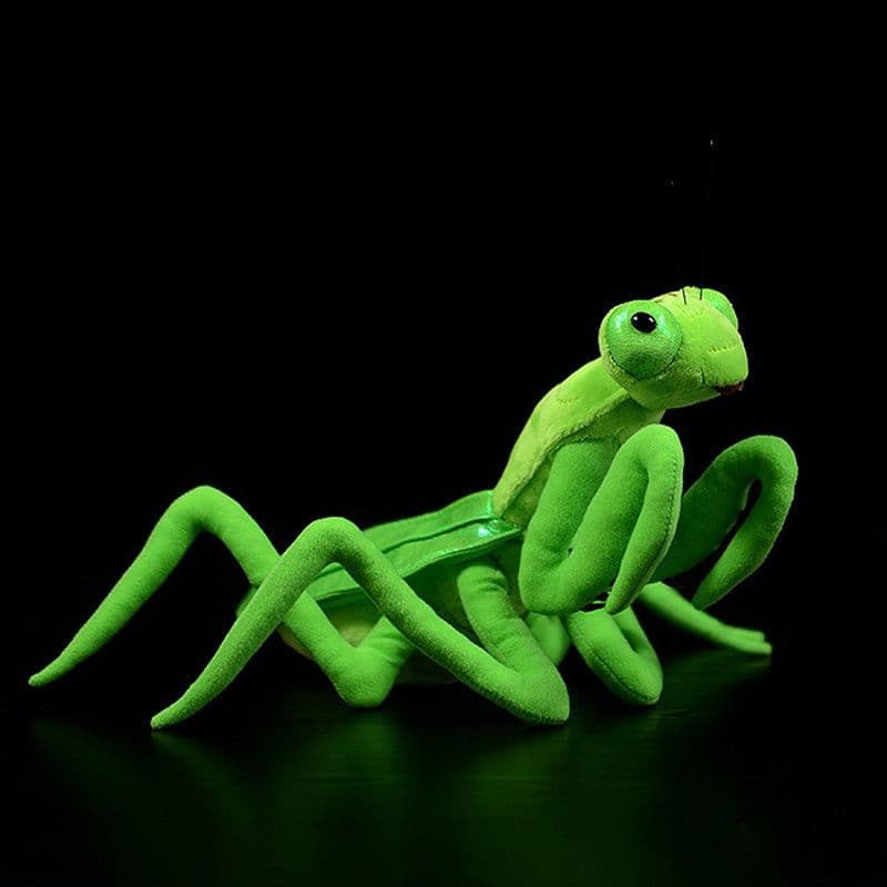 image-Lifelike Mantis Plush Toys Mantis Stuffed Animals Toy For Kids