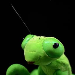 image-Lifelike Mantis Plush Toys Mantis Stuffed Animals Toy For Kids
