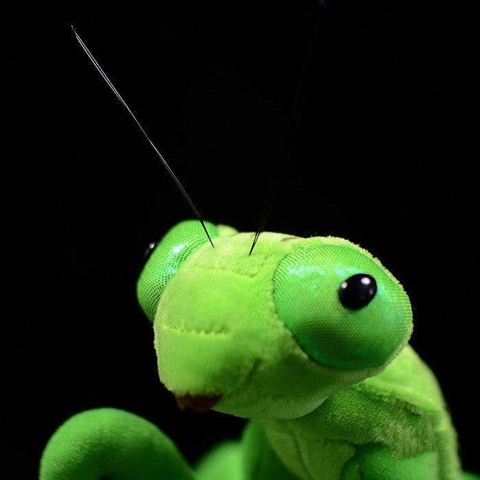 image-Lifelike Mantis Plush Toys Mantis Stuffed Animals Toy For Kids