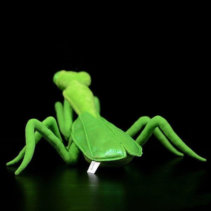 image-Lifelike Mantis Plush Toys Mantis Stuffed Animals Toy For Kids