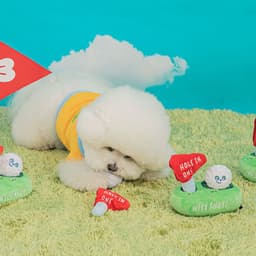 image-Pet Hidden Food Sniffing Paper Golf Toy