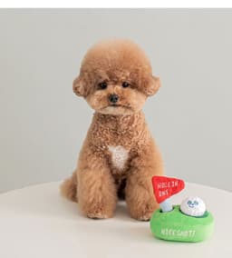 image-Pet Hidden Food Sniffing Paper Golf Toy
