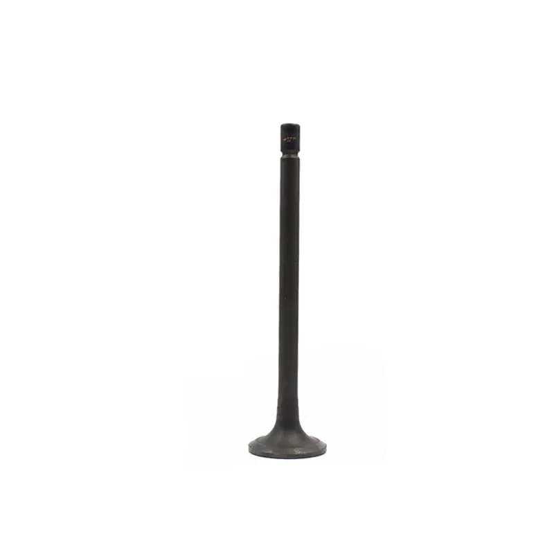 image-Exhaust Valve Natural Gas Engine Parts Heavy Truck Bus Bus
