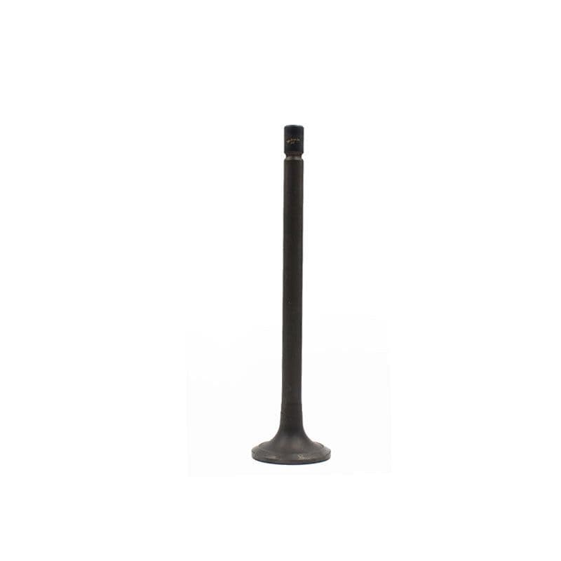 image-Exhaust Valve Natural Gas Engine Parts Heavy Truck Bus Bus