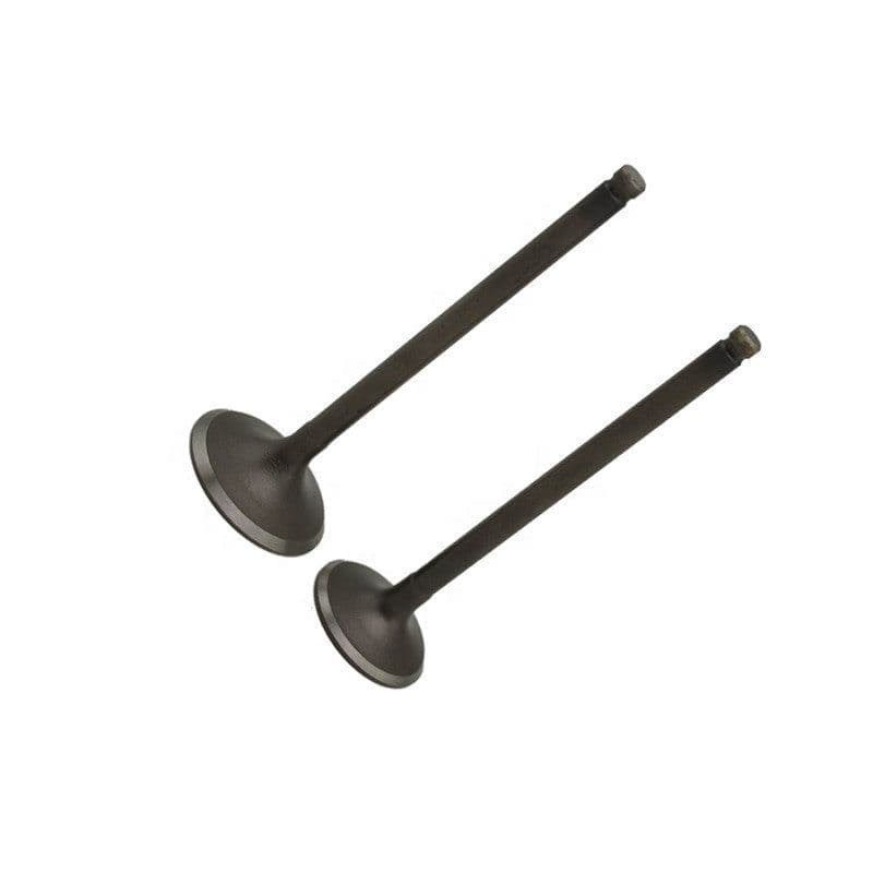 image-Exhaust Valve Natural Gas Engine Parts Heavy Truck Bus Bus