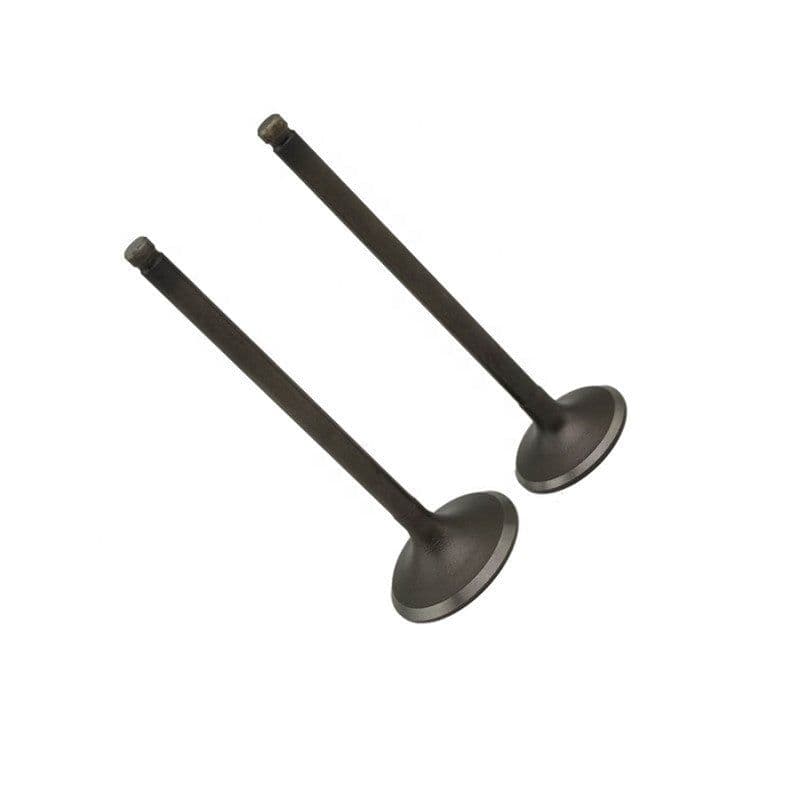 image-Exhaust Valve Natural Gas Engine Parts Heavy Truck Bus Bus