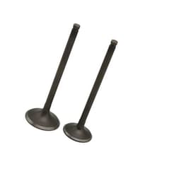 image-Exhaust Valve Natural Gas Engine Parts Heavy Truck Bus Bus