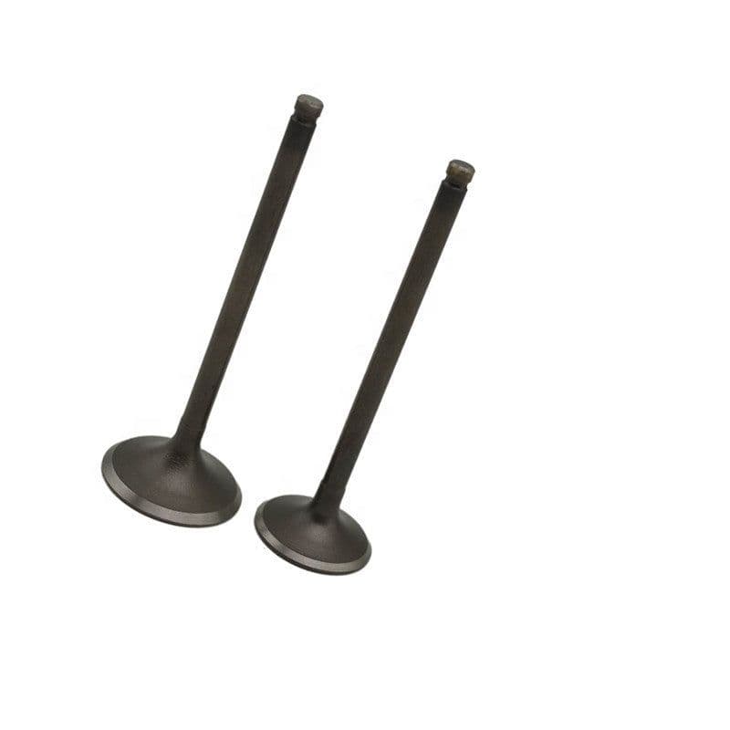 image-Exhaust Valve Natural Gas Engine Parts Heavy Truck Bus Bus