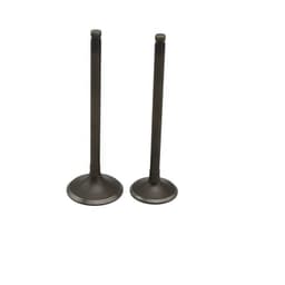image-Exhaust Valve Natural Gas Engine Parts Heavy Truck Bus Bus