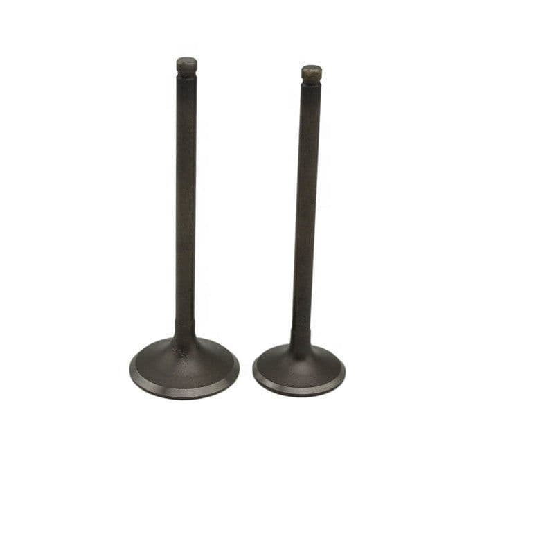 image-Exhaust Valve Natural Gas Engine Parts Heavy Truck Bus Bus