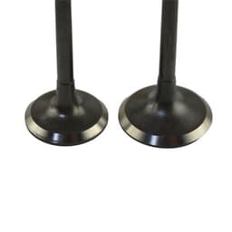image-Exhaust Valve Natural Gas Engine Parts Heavy Truck Bus Bus