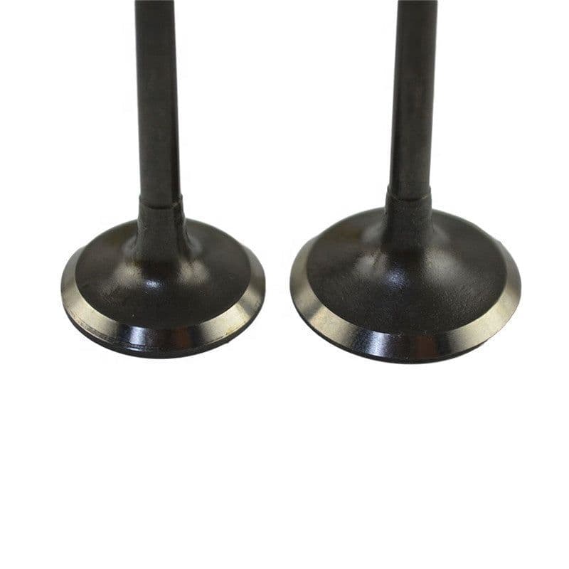 image-Exhaust Valve Natural Gas Engine Parts Heavy Truck Bus Bus