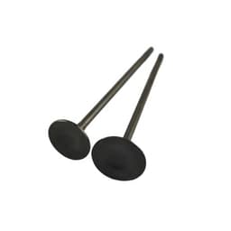 image-Exhaust Valve Natural Gas Engine Parts Heavy Truck Bus Bus