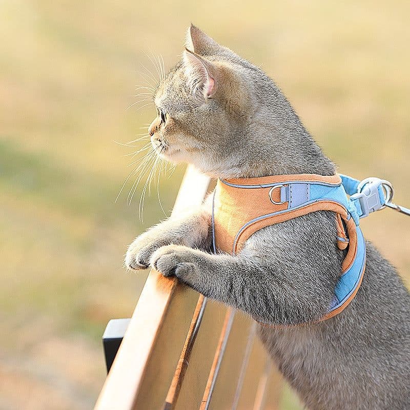 image-Cat Traction Rope Home Vest-Style Chest Harness Cute Anti-Stroke Cat Walking Rope
