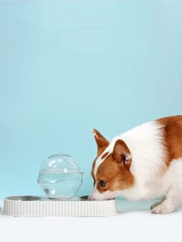 image-Plastic Pet Feeding Drinkers Cat Dog Automatic Feeder Drinking Animal Pet Bowl Water Bowl For Pets Dog Automatic Drinkers