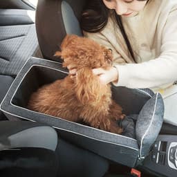 image-Car Safety Cat Dog Bed Travel Central Control Pet Seat Transport Dog Carrier