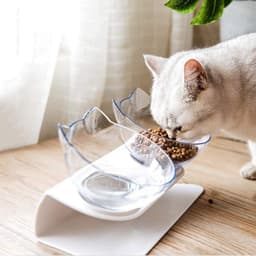 image-Non Slip Double Cat Bowl With Raised Stand Pet Food Cat Feeder Protect Cervical Vertebra Dog Bowl Transparent Pet Products