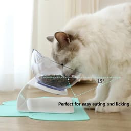 image-Non Slip Double Cat Bowl With Raised Stand Pet Food Cat Feeder Protect Cervical Vertebra Dog Bowl Transparent Pet Products