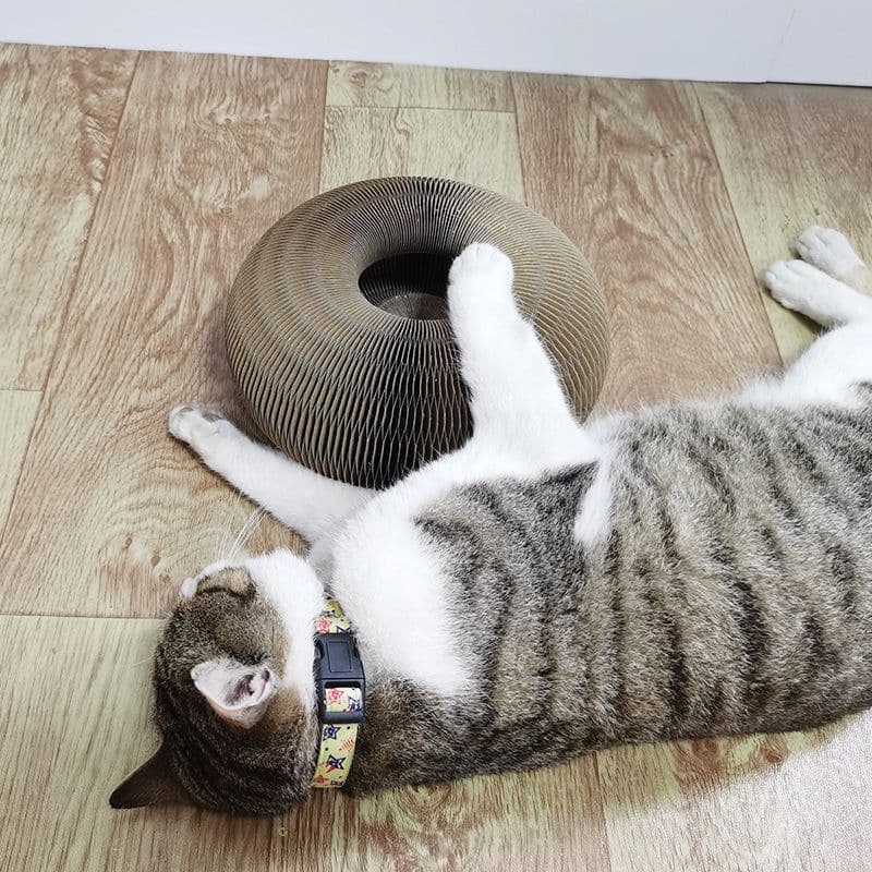 image-Magic Organ Cat Scratchers 2 In 1 Funny Shaped Cat Scratching Board Foldable Convenient Recyclable Durable Cat Scratcher