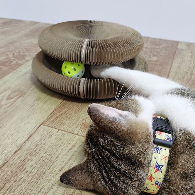 image-Magic Organ Cat Scratchers 2 In 1 Funny Shaped Cat Scratching Board Foldable Convenient Recyclable Durable Cat Scratcher
