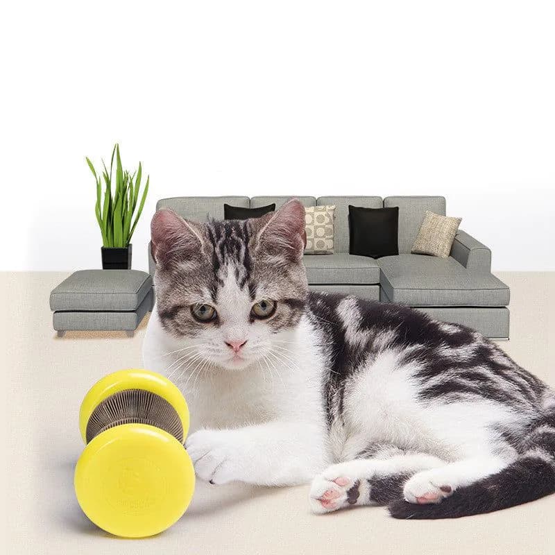 image-Pet Toy Magic Organ Corrugated Paper Wheel Cat Scratching Board Powder