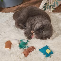 image-Plush Toy Contains Catnip Cat Toy Self-Hi Bite-resistant Scratch-resistant Pet Supplies