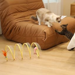 image-Folded Cat Tunnel S Type Cats Tunnel Spring Toy Mouse Tunnel Cat Outdoor Cat Toys For Kitten Interactive Cat Supplies